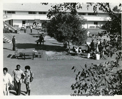 Trees in Watt Campus Courtyard