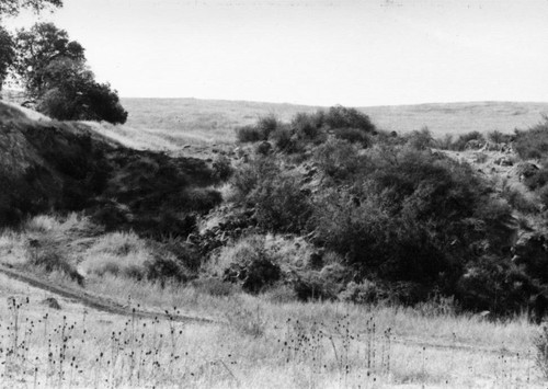 Foothill and road at the Bernal Marl Fertilizer Company