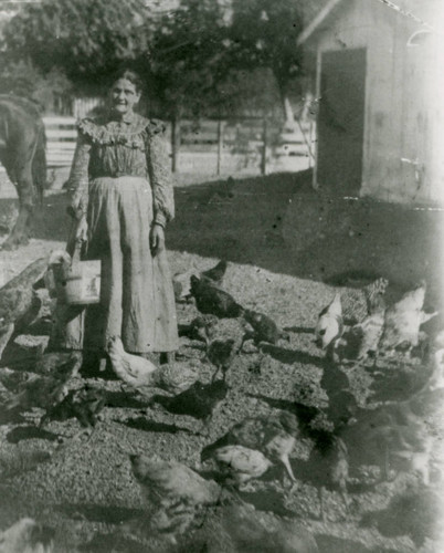 Jesusita Bernal feeding chickens