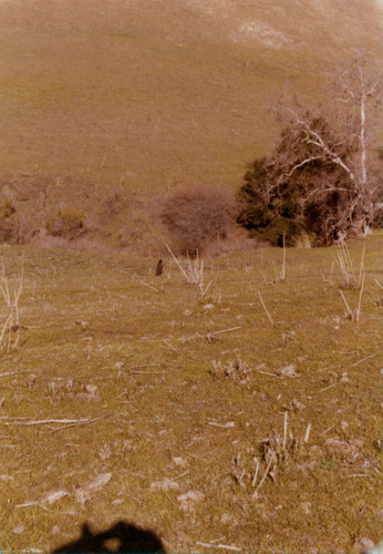 Higuera-Galindo Adobe landscape