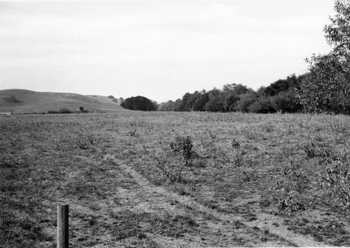 Garcia Adobe landscape