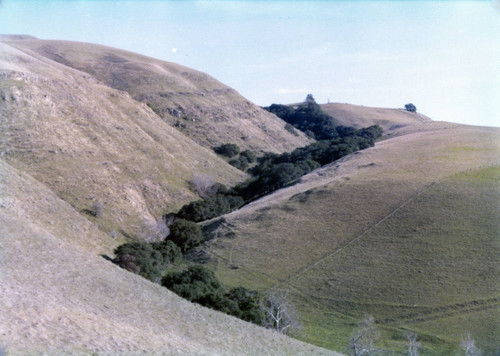 Hills and valley at the Higuera-Galindo Adobe