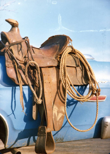 Pedro Bernal's saddle