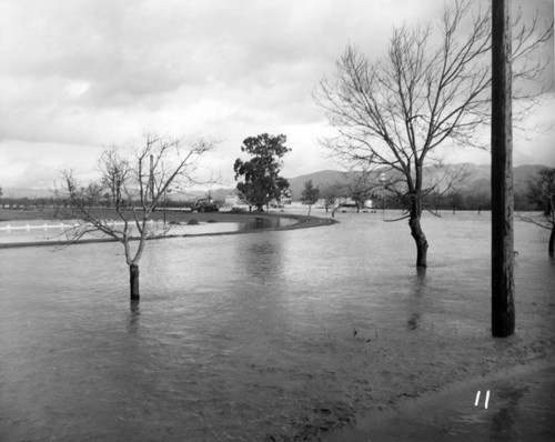 1952 Agnews State Hospital