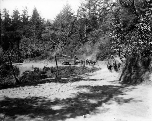 1900 Lumber wagons in Santa Cruz County