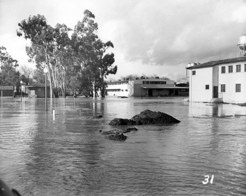 1952 Flooded grounds at Agnews State Hospital