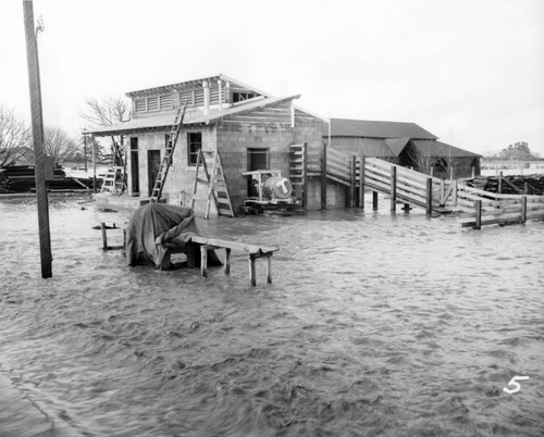 1952 Flooded grounds at Agnews State Hospital