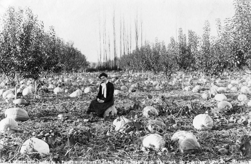 1900 Woman sitting in pumpkin patch