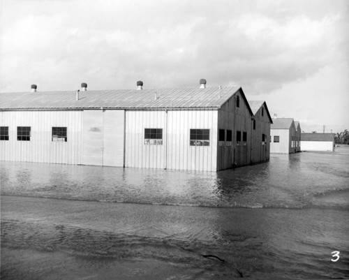 1952 Flood at Agnews State Hospital