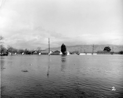 1952 Flood at Agnews State Hospital