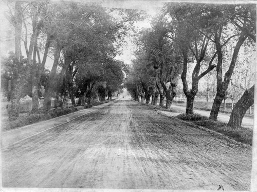 1900 The Alameda