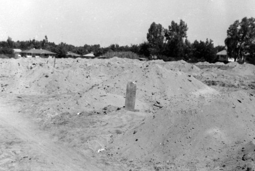 1956 Chinese cemetery