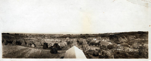 1915 View from DiFiore Cannery