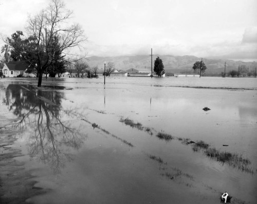 1952 Flooded grounds of Agnews State Hospital