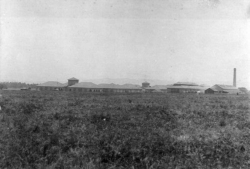 1891 Stanford University