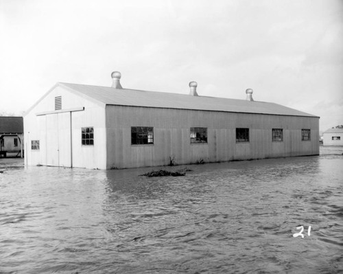 1952 Flooded warehouse at Agnews State Hospital