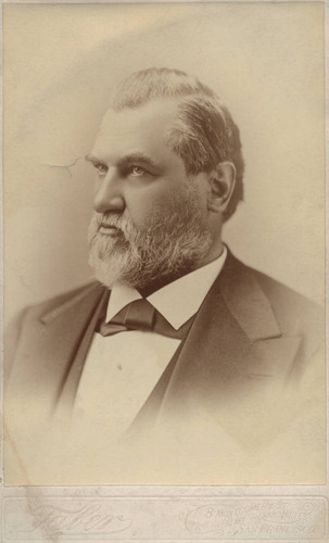 1890 portrait of Senator Leland Stanford