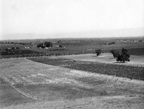 1910 Santa Clara Valley