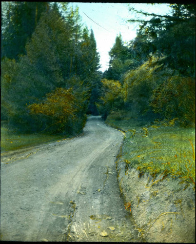 1907 Boys' Outing Farm