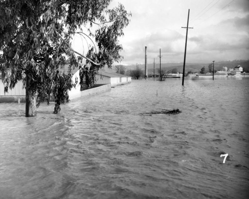 1952 Flooded grounds at Agnews State Hospital