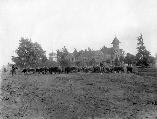 Gilroy, Bloomfield Ranch