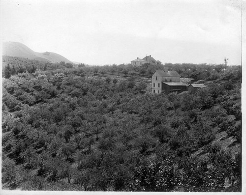 1910 Santa Clara County foothills