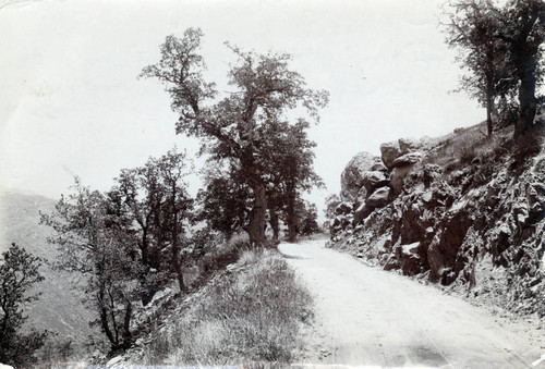 1900 New Almaden Quicksilver Mine