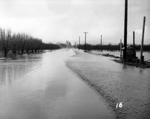 1952 Flooded road at Agnews State Hospital