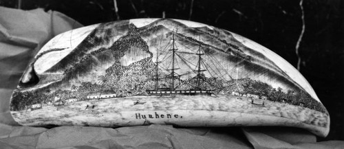 1959 Scrimshaw on whale tooth