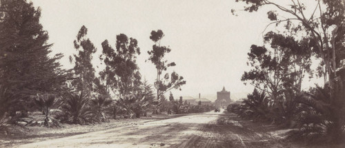 1900 Stanford University