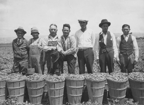 Proud pea pickers