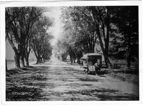 1900 The Alameda