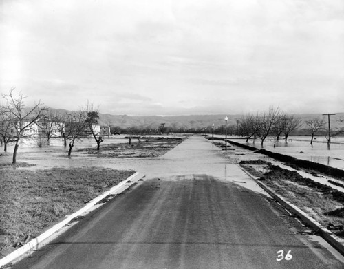 1952 Flooded grounds at Agnews State Hospital
