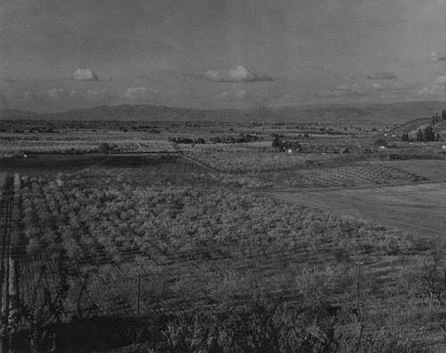 1935 Santa Clara Valley view