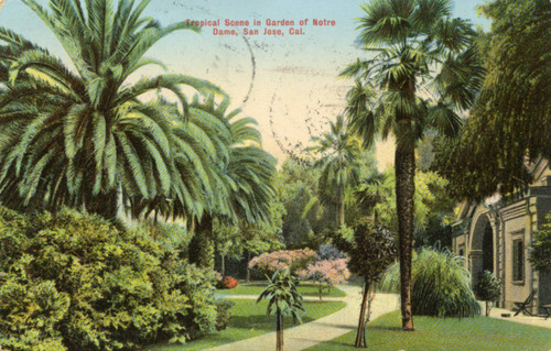 College of Notre Dame Tropical Garden