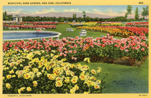 San Jose Municipal Rose Garden