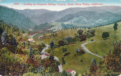 Looking up Congress Springs Canyon postcard