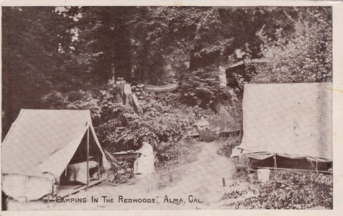 Postcard of camping in the redwoods, Alma, California