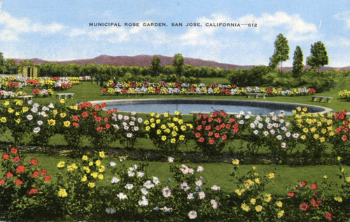 Municipal Rose Garden