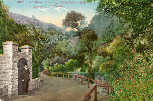 Mineral Spring in Alum Rock Park