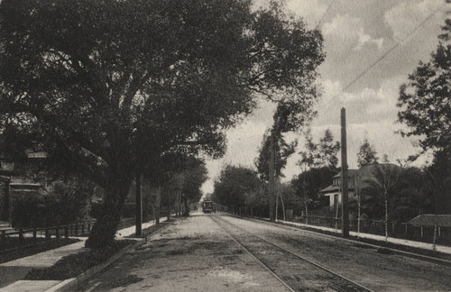 Waverly Street