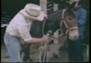 Mule Days (Slim Pickens)