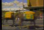 Mule Days 1980