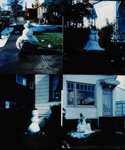 Shades of Humboldt - Snowmen