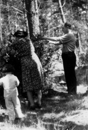 Shades of Monterey - Picking Huckleberries