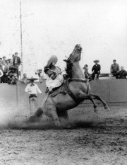 Shades of Long Beach - Side Saddle