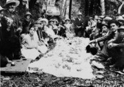 Shades of Humboldt - Picnic