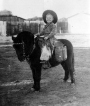 Shades of Monterey - Pony