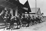 Shades of Sutter County - Horse Team