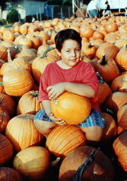 Shades of Riverside - Pumpkins